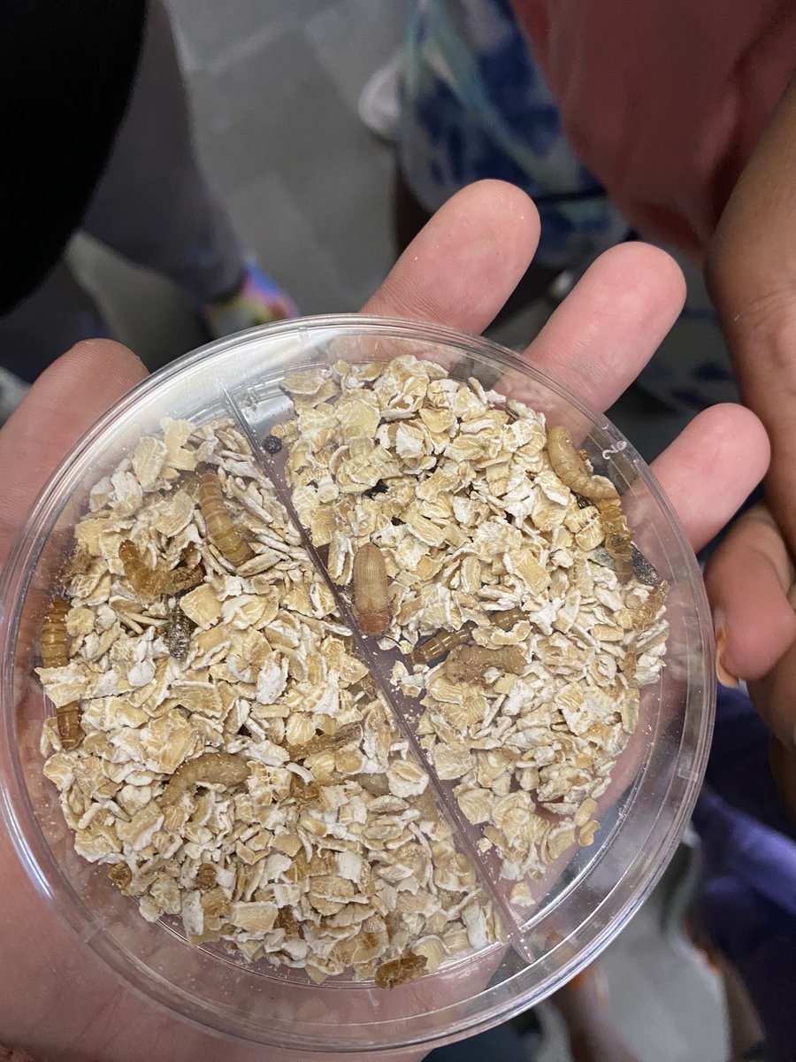 Brittney Bohls tweet media