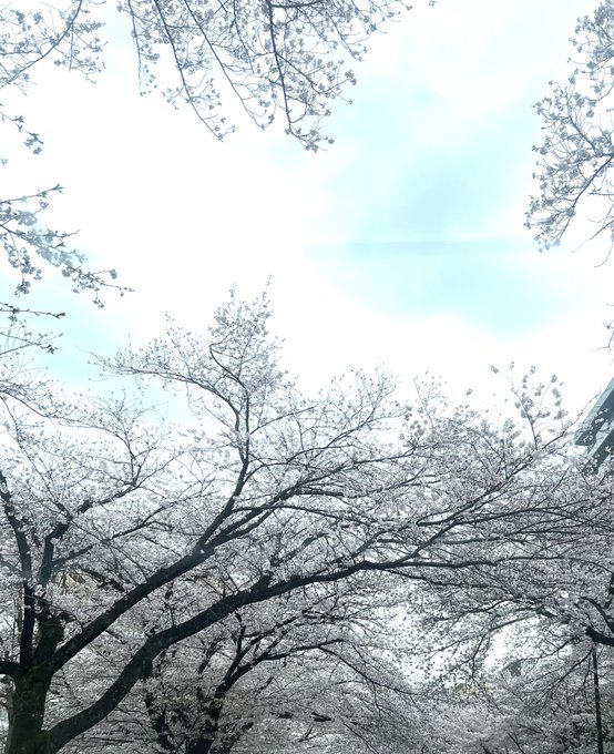春が秒速5センチメートルでゆっくりと過ぎて行きますね4月15日㈯向ヶ丘遊園駅北口GINZAFORESTオープニングイベン