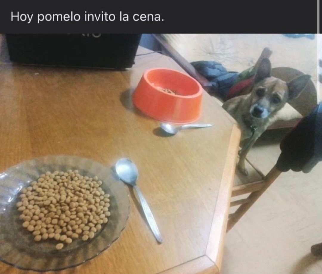 rivoabril's tweet photo. por favor ayuda no termina más este mes estoy así https://t.co/IeLwmTitgU