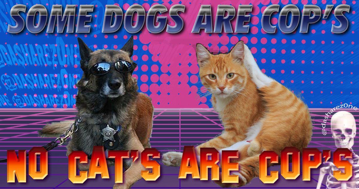 FACT'S - DASHARE.ZONE ADMIN