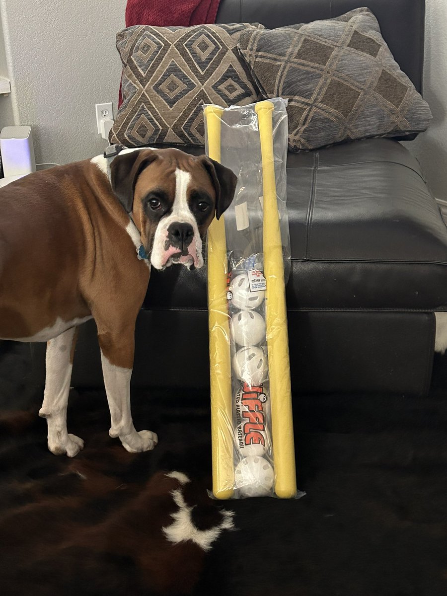 Marc Moser TV tweet media