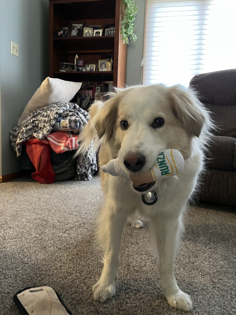 kate schoening tweet media