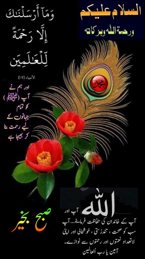 السلام علیکم ورحمۃاللہ وبرکاتہ صبح بخیر