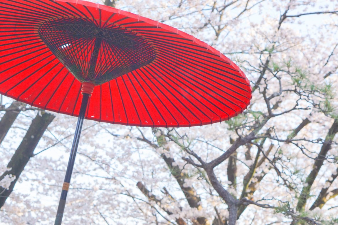 kagurakururu's tweet photo. 🌸週末の桜撮影の場所にお悩みの方へ🌸
金山駅からJRで最寄駅まで9分の貸切スタジオはいかがですか?
桜が満開で
4/1以降のご予約はなんと ✨2h¥3,000✨
野点セットも最高❣️
https://t.co/WgRelqIfwd
#studioORB #PR https://t.co/OO7N91DxWS