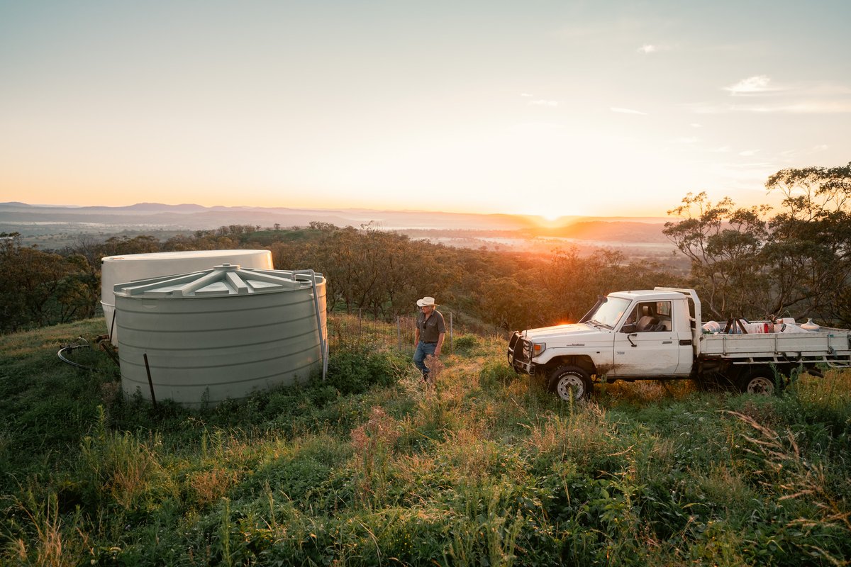 Jake Lapham tweet media