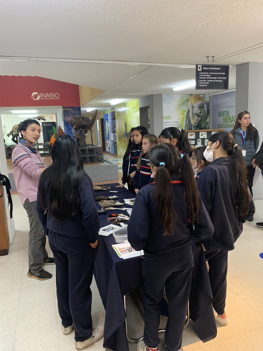 XmpazCriterium's tweet photo. Hace mucho que no visitaba un museo de ciencias 🤩. Con el #ProgramaAtenea promovemos que más niñas despierten su curiosidad en la ciencia y se conviertan en científicas, investigadoras e ingenieras 👩🏽‍🔬🔬🧪. Gracias por recibirnos @INABIO_EC https://t.co/NirOqnuRb2