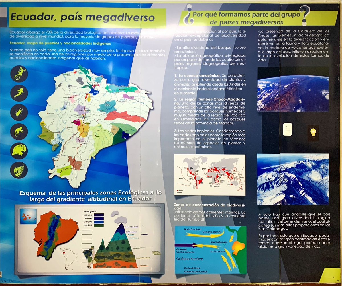 XmpazCriterium's tweet photo. Hace mucho que no visitaba un museo de ciencias 🤩. Con el #ProgramaAtenea promovemos que más niñas despierten su curiosidad en la ciencia y se conviertan en científicas, investigadoras e ingenieras 👩🏽‍🔬🔬🧪. Gracias por recibirnos @INABIO_EC https://t.co/NirOqnuRb2