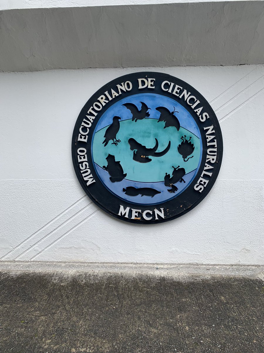 XmpazCriterium's tweet photo. Hace mucho que no visitaba un museo de ciencias 🤩. Con el #ProgramaAtenea promovemos que más niñas despierten su curiosidad en la ciencia y se conviertan en científicas, investigadoras e ingenieras 👩🏽‍🔬🔬🧪. Gracias por recibirnos @INABIO_EC https://t.co/NirOqnuRb2