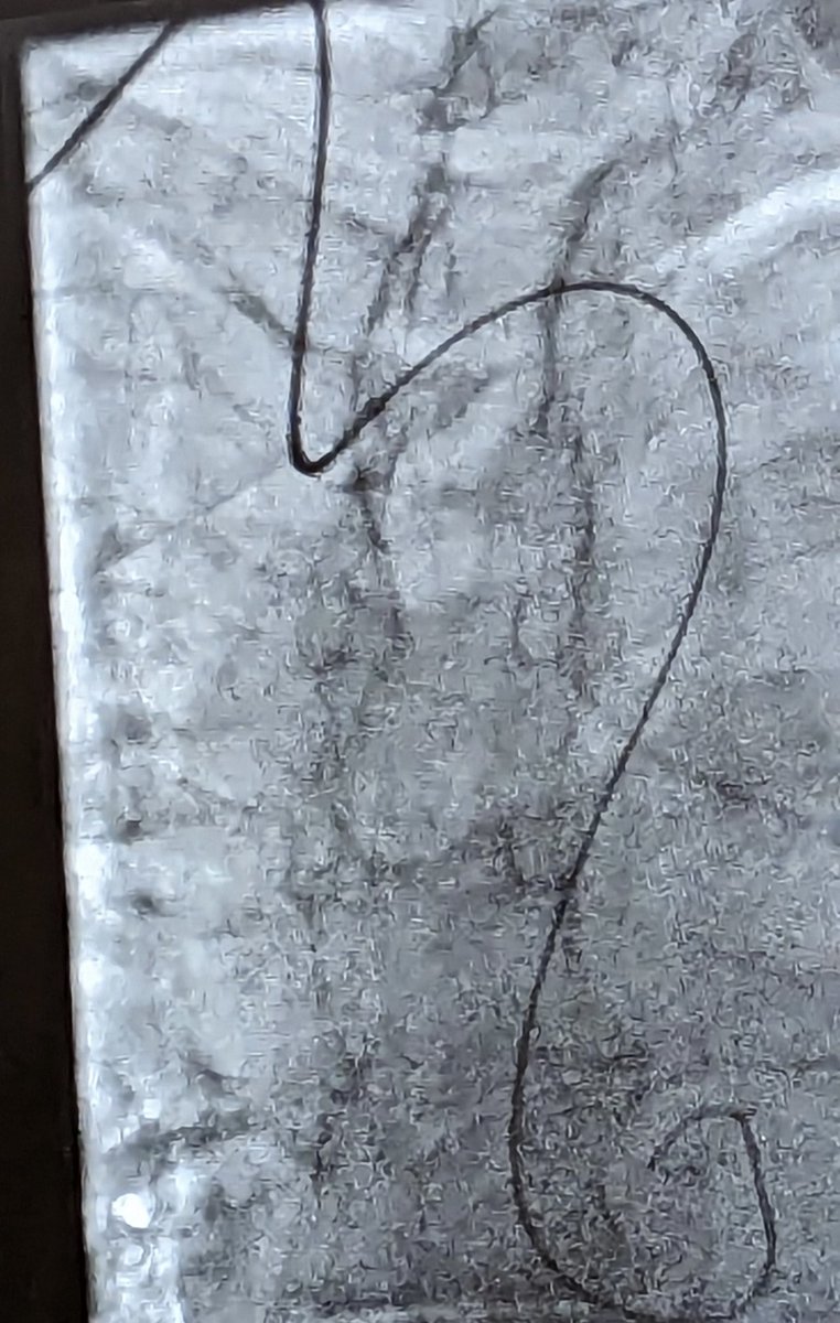 Rich_cathRT(CI)☢️ tweet media