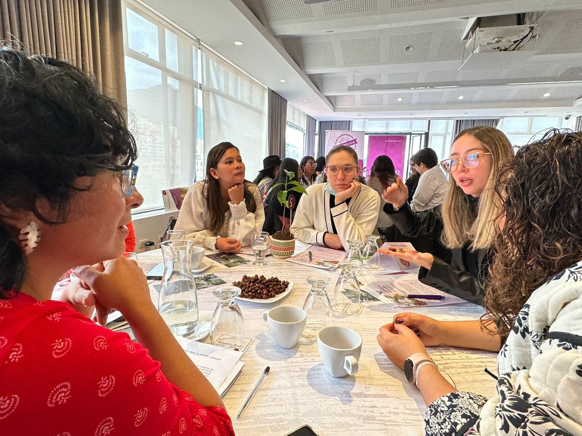 HumanasColombia's tweet photo. Bogotá | La Alianza de género para el litigio ante la #JEP, representantes de instituciones y víctimas se reunieron hoy en la mesa nacional para generar recomendaciones a @JEP_Colombia que fortalezca el acceso a la justicia a mujeres, niñas y personas LGBTQ víctimas de #VBG 🧵 https://t.co/1lZJ18CUBy