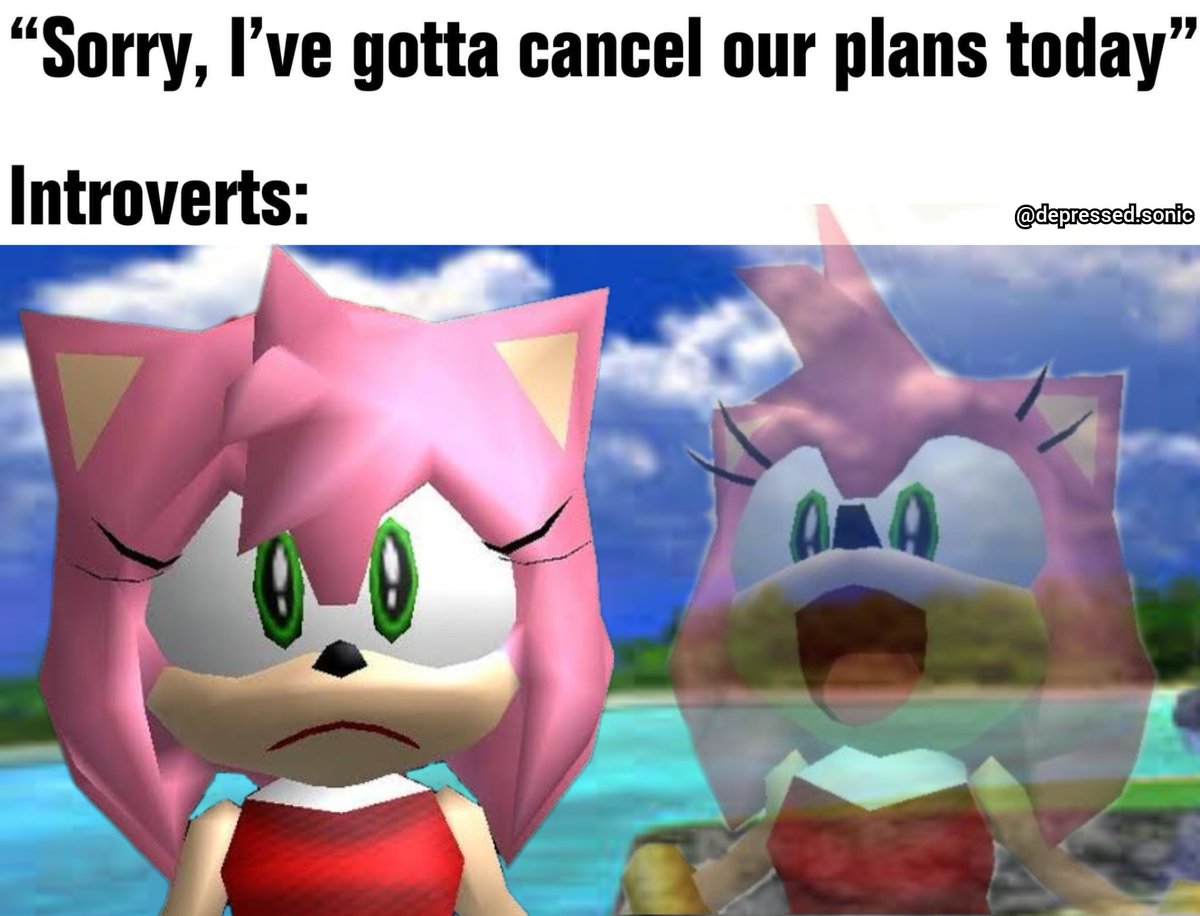 SonicDepressed's tweet photo. She's staying home to play Sonic Adventure https://t.co/XL5JjXgeYF