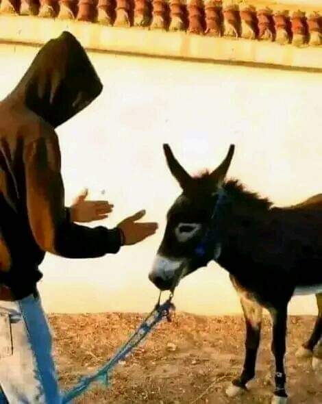 unt_inu's tweet photo. @hodajannat أنا تنشرح لمغاربة لي كايسمعو لشيوخ المسخيين بلي القضايا الوطنية أهم من أي قضية على وجه الكون https://t.co/mxUPo8zXUE
