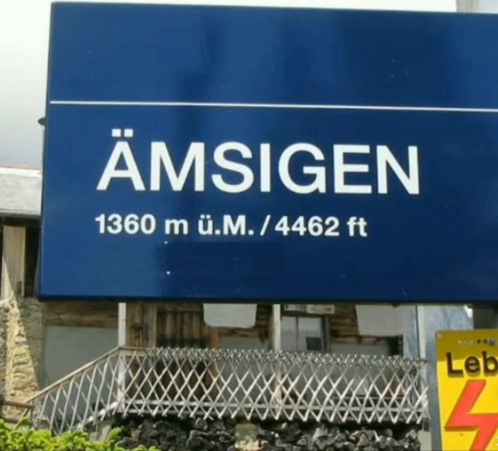 Kuzey (@mustafa32327162) on Twitter photo 