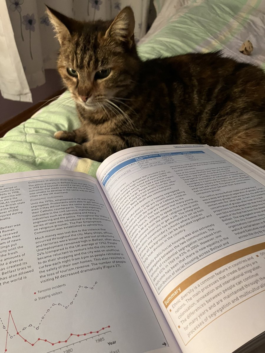 debsrob79's tweet photo. current setup🤣 #catlover #lovinglife #examseason #rollonweekend https://t.co/PZrLc2zvI9