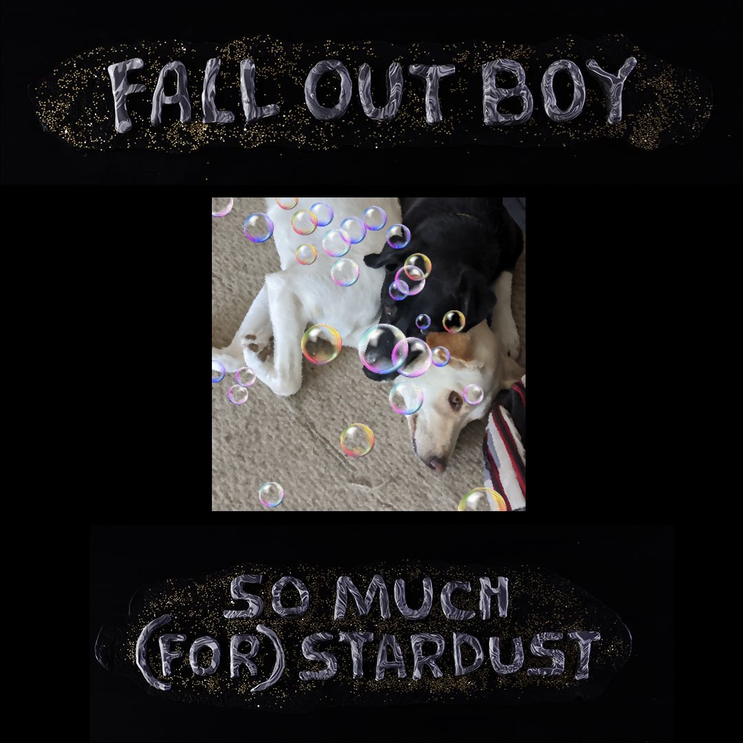 Ms_Marcher's tweet photo. @falloutboy Sisters and besties https://t.co/pkY6uGPv7t