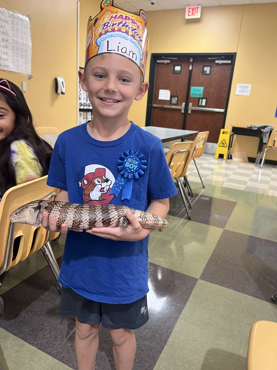 MZamarronKDL's tweet photo. 1st grade students @OakCrestStinger had some special guests stop by. Our students had a great time learning about these amazing animals. @ECISDtweets https://t.co/eZgLFbsMjp