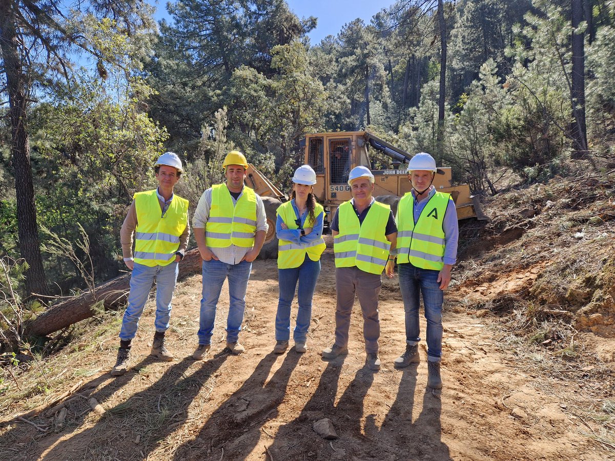 rafamartinez_DT's tweet photo. .@MedioAmbAND "Plan de Gestión Integral de la Sierra Occidental de Córdoba" 🪵🌲🍃🌸🪓   Gestión de @AndaluciaAMAyA en montes públicos para combinar aprovechamiento de madera y biomasa,  con regenerado de vegetación natural, fomento de la Biodiversidad y prevención de incendios. https://t.co/71g2FjxSUW