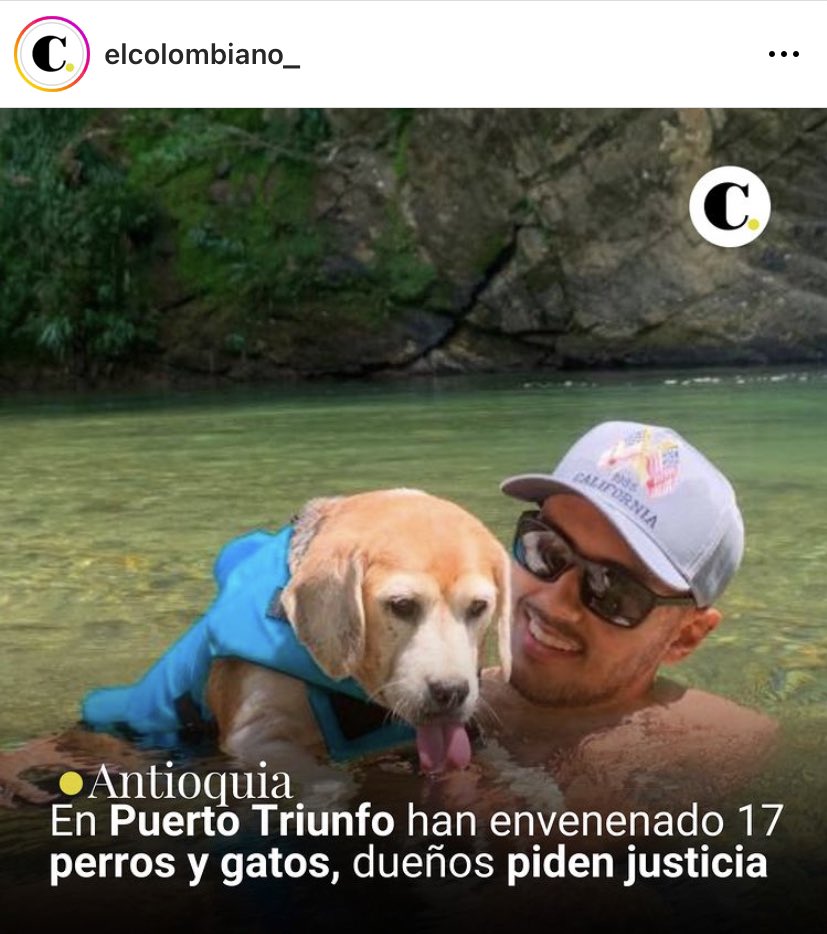 VetEdison's tweet photo. Los animales de Antioquia están abandonados a su suerte mientras sus autoridades están concentradas en hacer política. Día a día nos llegan cientos de casos como este desde todos los municipios del departamento.

Mientras tanto, la Asamblea y la Gobernación en silencio absoluto😡 https://t.co/agnJj5NV0c