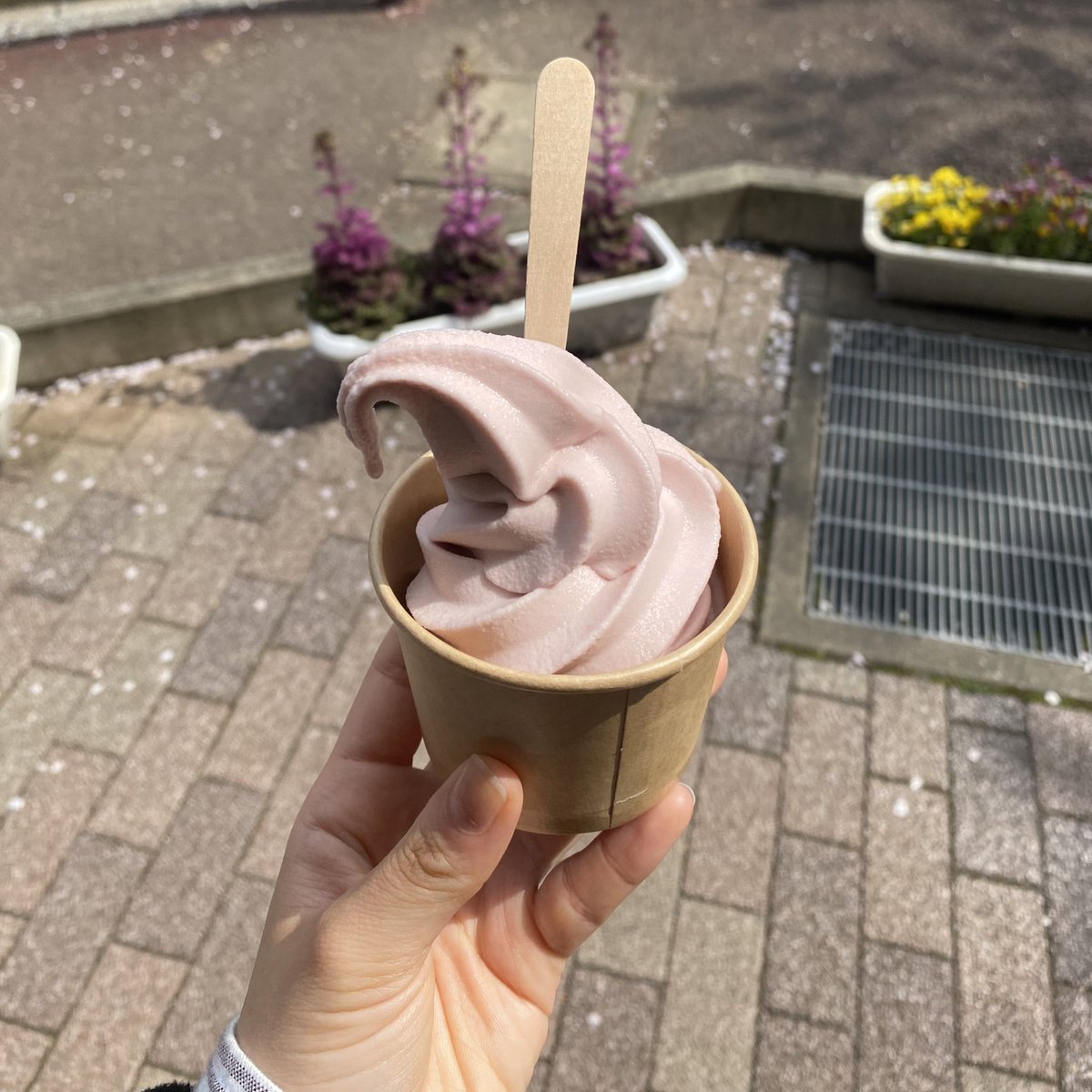 a___agnesb's tweet photo. さくらの味が好きなの今年気づいた🌸 https://t.co/1KS2nNMWl9