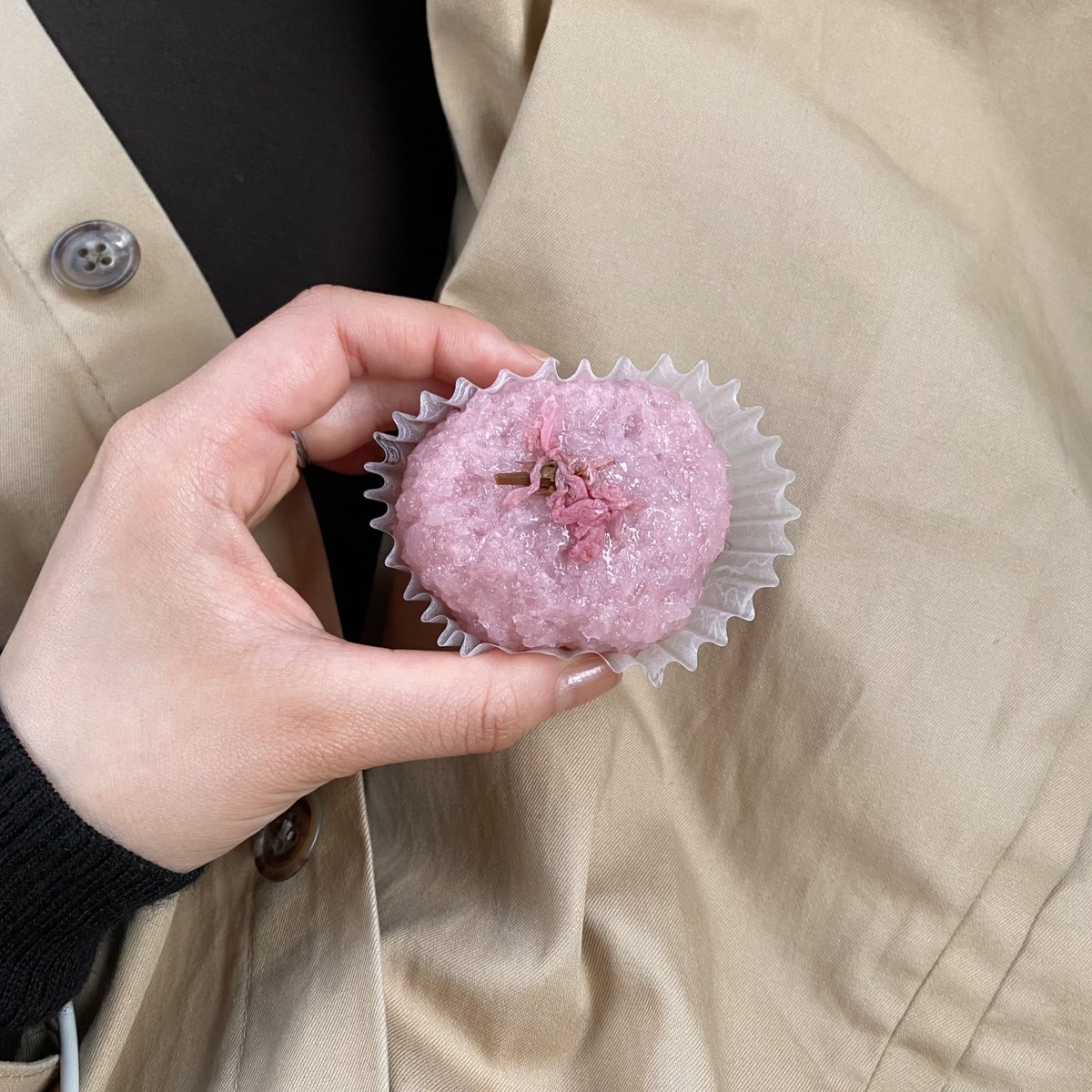 a___agnesb's tweet photo. さくらの味が好きなの今年気づいた🌸 https://t.co/1KS2nNMWl9