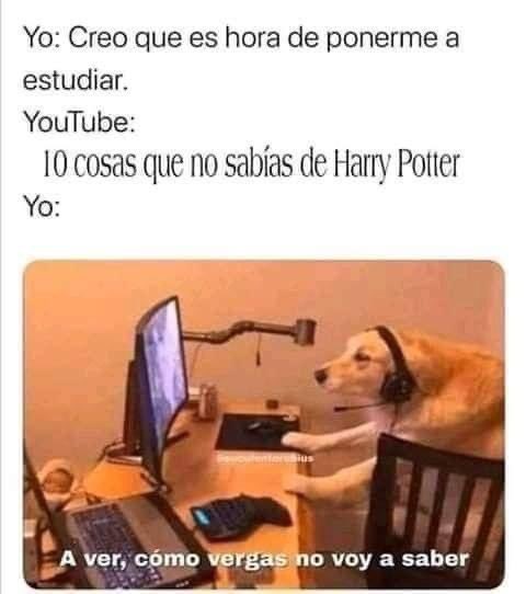 kattgamingyt's tweet photo. 10 cosas que no sabias de Harry Potter https://t.co/L97lFbxupl