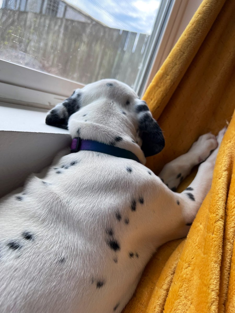 rap_putin's tweet photo. lazy day in https://t.co/zAbJcX40A2