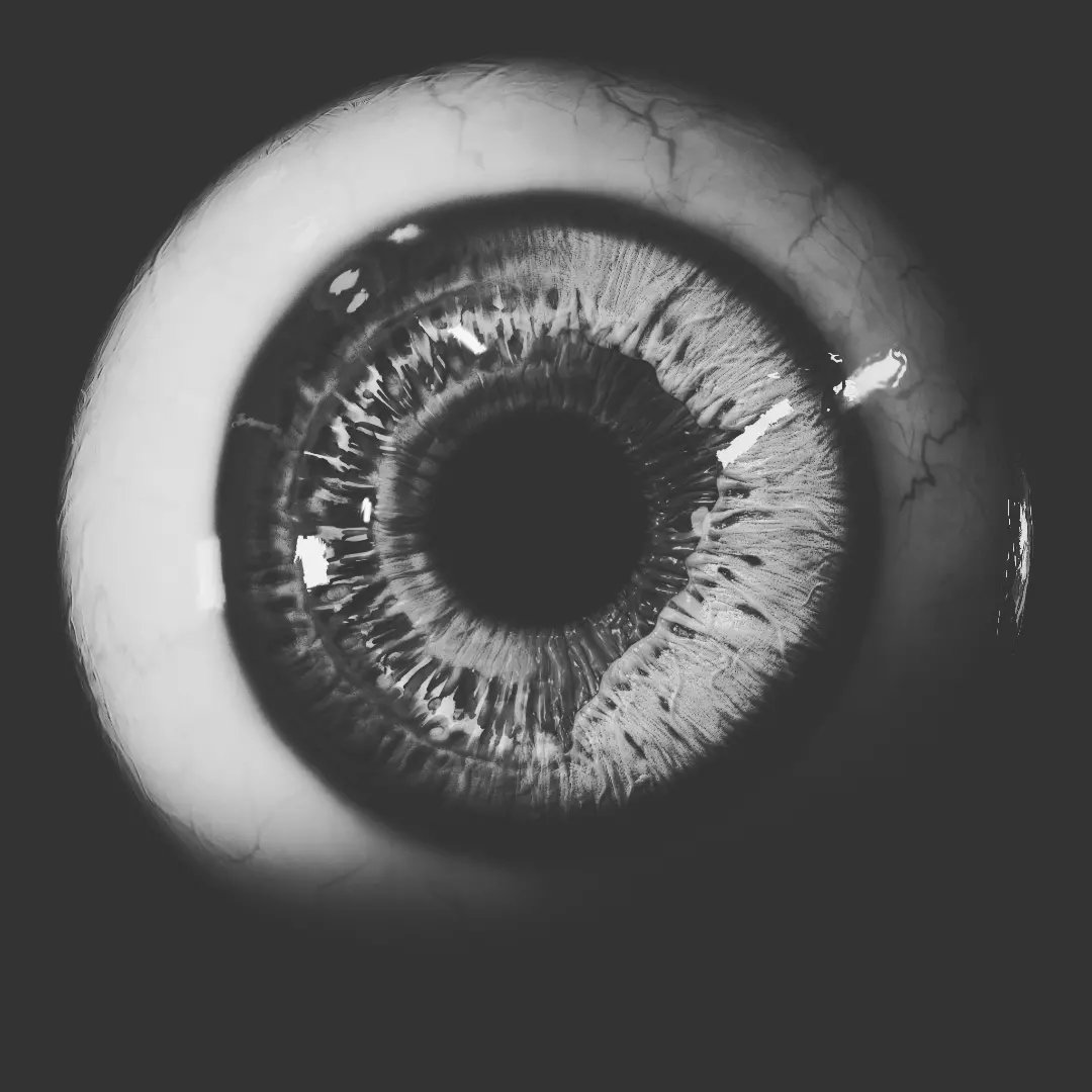 vegel_3d's tweet photo. New update out now! You can get them on my @FlippedNormals store page! 

https://t.co/bJ2ZnI0fO0

#3D #zbrush #render #RealTime #CGI #digitalpainting https://t.co/cqL5QSTSVO