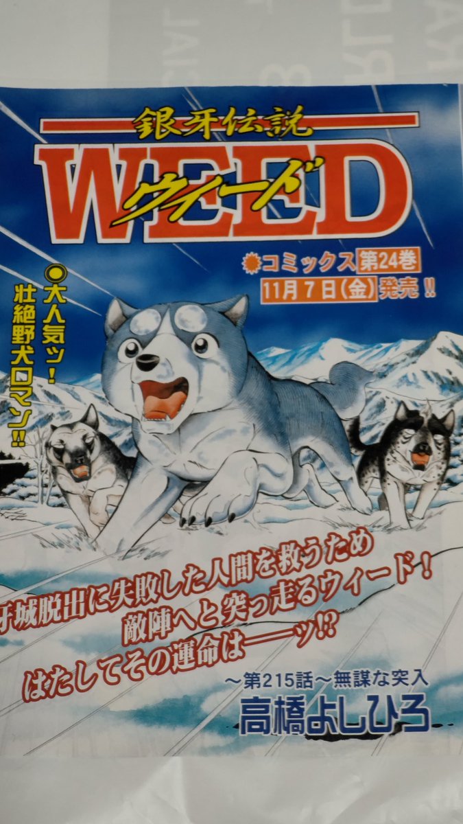 銀牙伝説WEEDの巻頭カラー😬 牙城に爆弾を仕掛けに来た人間に