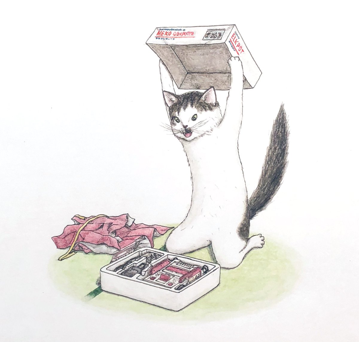 cat box no humans animal colored pencil (medium) traditional media animal focus  illustration images
