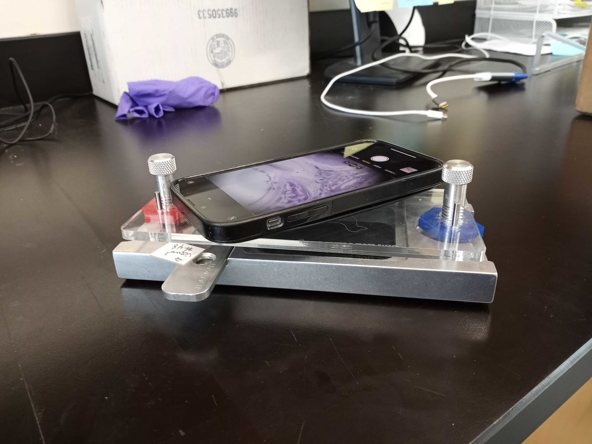 Anthony Berrington tweet media