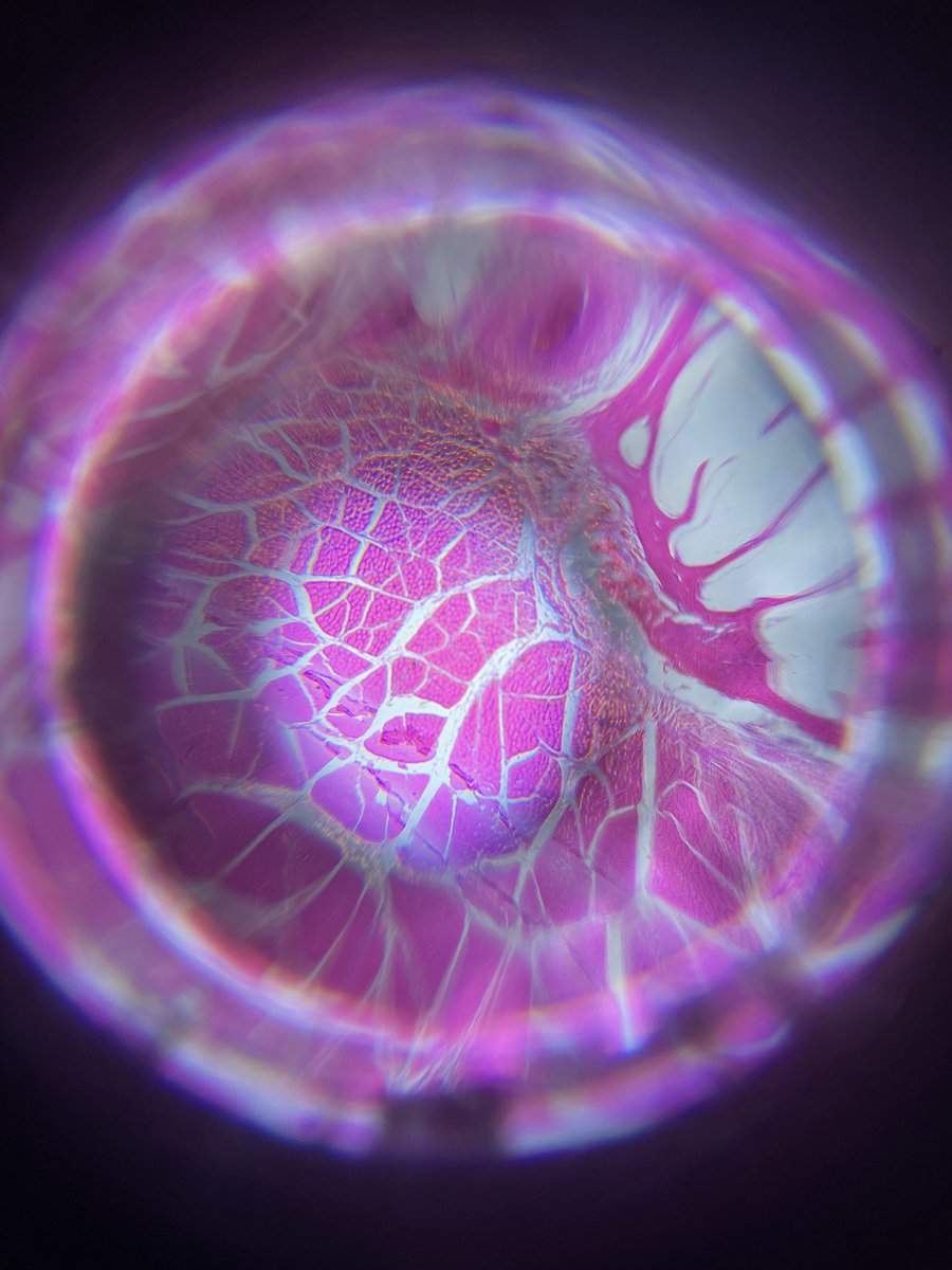 Anthony Berrington tweet media