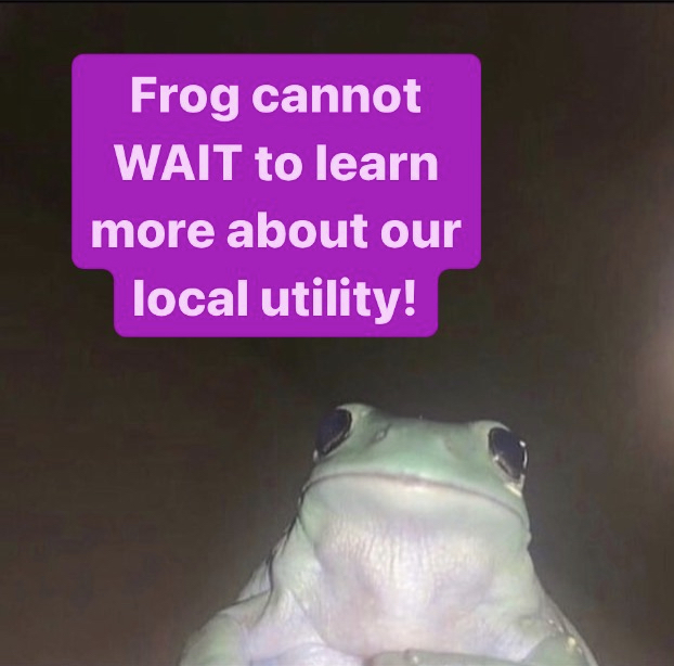 ChugachAlliance's tweet photo. Tomorrow is Frog's lucky day - join us for⚡️Electric Co-ops, Climate and Community ⚡️ a conversation about our local utility and how engaging with it is one of the most direct climate action steps you can take! 🐸Thursday March 30th 6-8pm at the Writers Block on Spenard https://t.co/trFjw5vdRq
