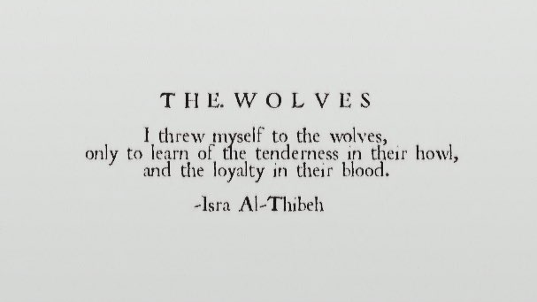 C. Warrington tweet media