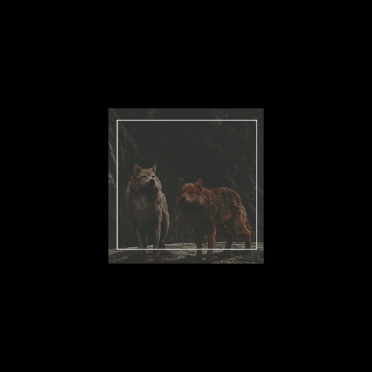 ㅤㅤㅤㅤㅤㅤㅤㅤㅤㅤㅤㅤㅤㅤㅤㅤㅤㅤㅤㅤㅤㅤㅤㅤㅤㅤㅤㅤㅤㅤㅤㅤㅤㅤㅤㅤ
       ╰𝗔 𝗹𝗮 𝗰𝗮𝘇𝗮; 

         Descendientes de la manada ᴘᴏʟᴅᴀʀᴋ
         Entre los 20 a 40
        Se solicita actividad
        Fc a elección 
        Se ofrece drama
              rt | like