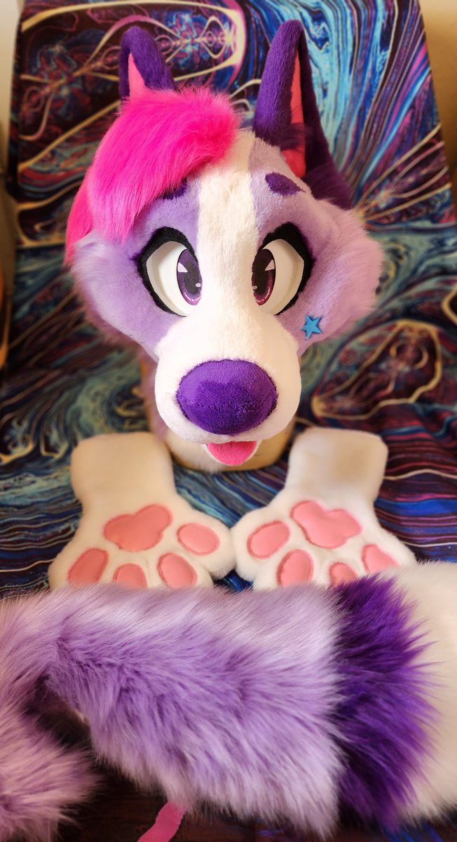 RUFFStuffSuits's tweet photo. Pop Star doggo! Shes for sale now as a mini partial. Shes super soft and brightly colored inside and out.
Taking offers starting at 1700$!
(More pics in replies) https://t.co/mcQpJagFmj
