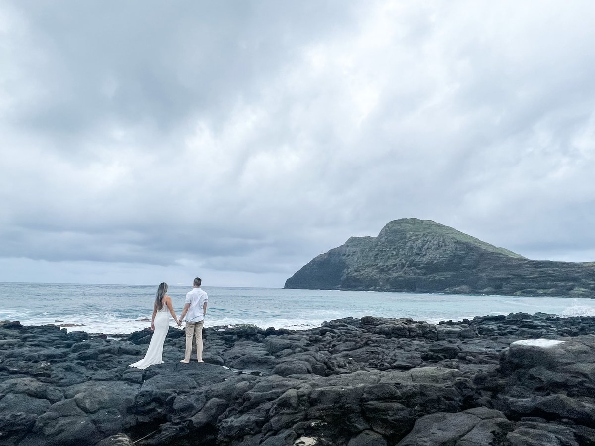 Jimmy Lin tweet media