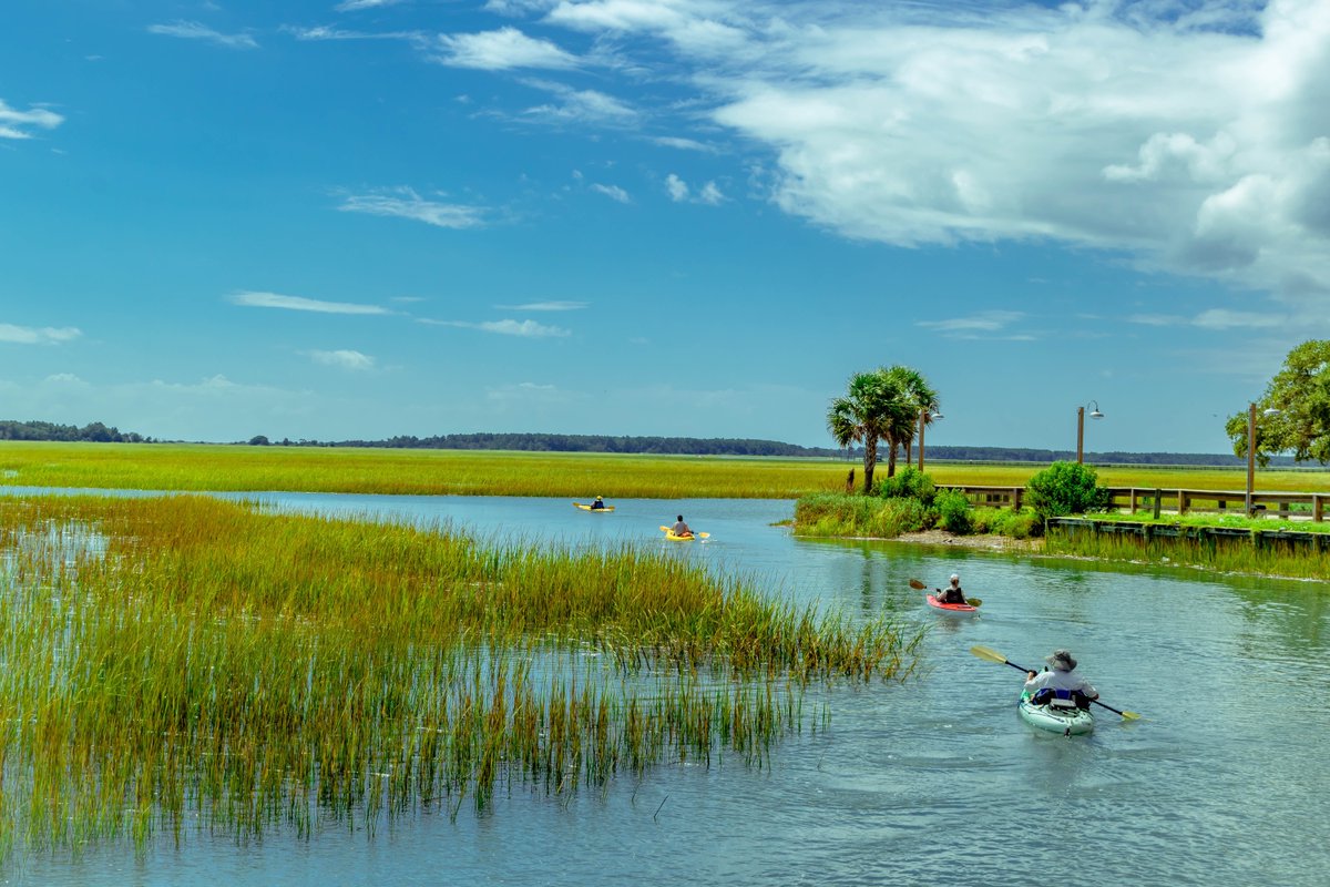 selc_org's tweet photo. While the US Senate just voted against protections for streams and wetlands, we thank Senators @timkaine @MarkWarner @ossoff @ReverendWarnock for standing up for clean water protections that are vital to our Southern communities. We urge POTUS to veto the ill-advised resolution. https://t.co/jYaDcenJdF