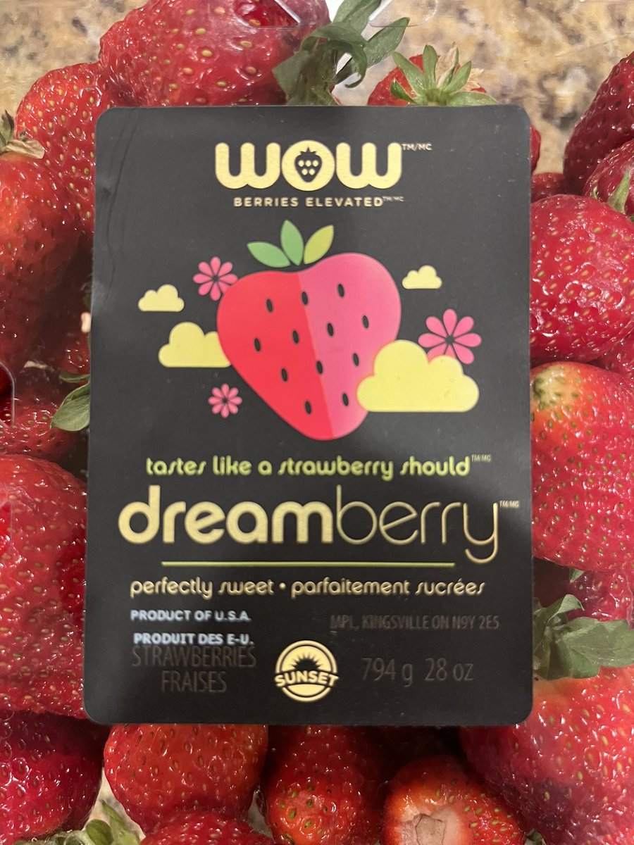 Tony Massarotti tweet media