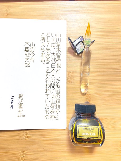 #朝活書写 おはようございます☀️🌱ink:platinum citrus Black ペン:Kokeshi リボンケー