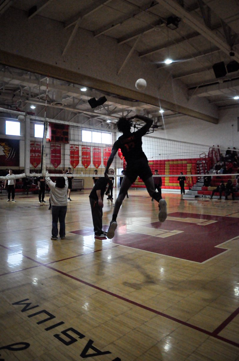 linden_bvb's tweet photo. Final Scrimmage tomorrow HOME. Come support! Season Opener 4/3 🐅🏐 https://t.co/Qu9DMJjR8Q