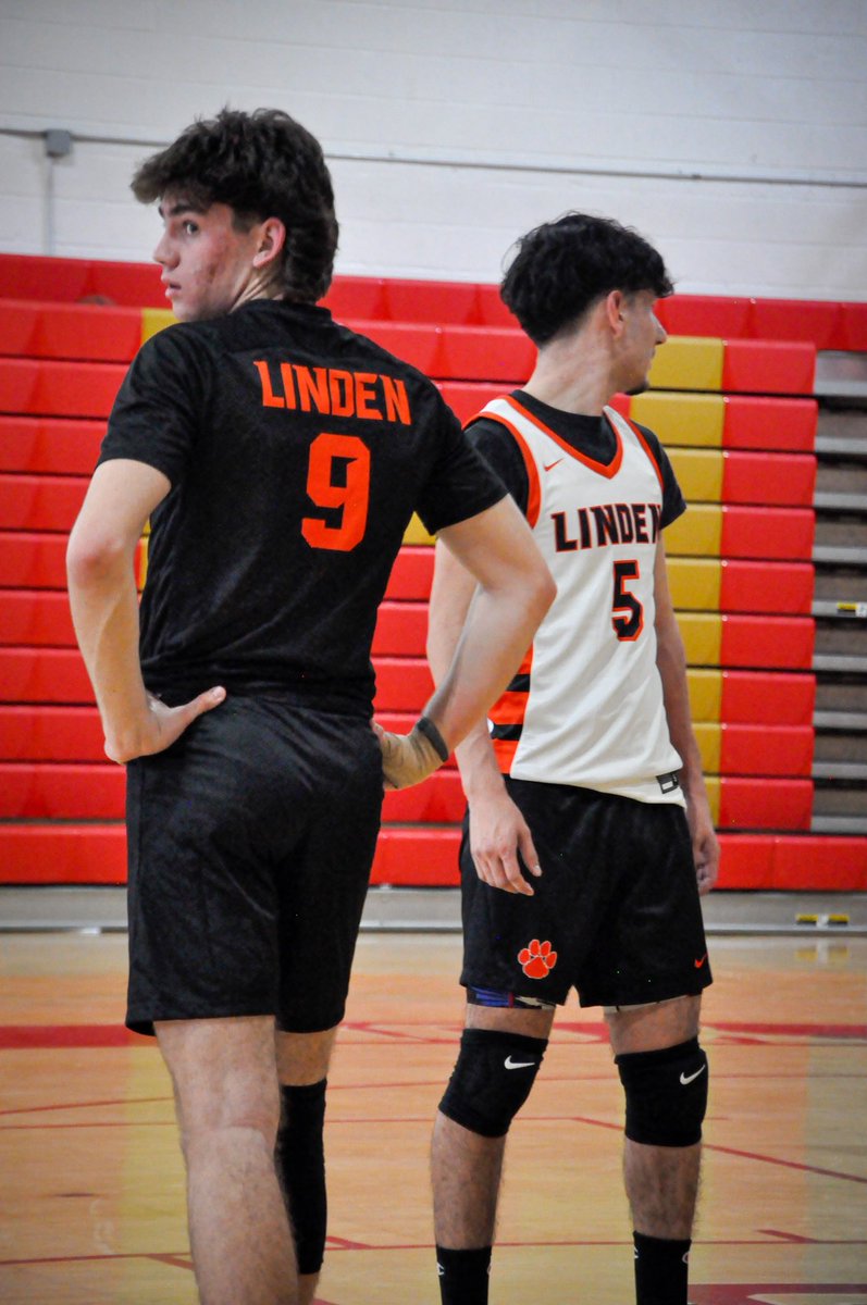linden_bvb's tweet photo. Final Scrimmage tomorrow HOME. Come support! Season Opener 4/3 🐅🏐 https://t.co/Qu9DMJjR8Q