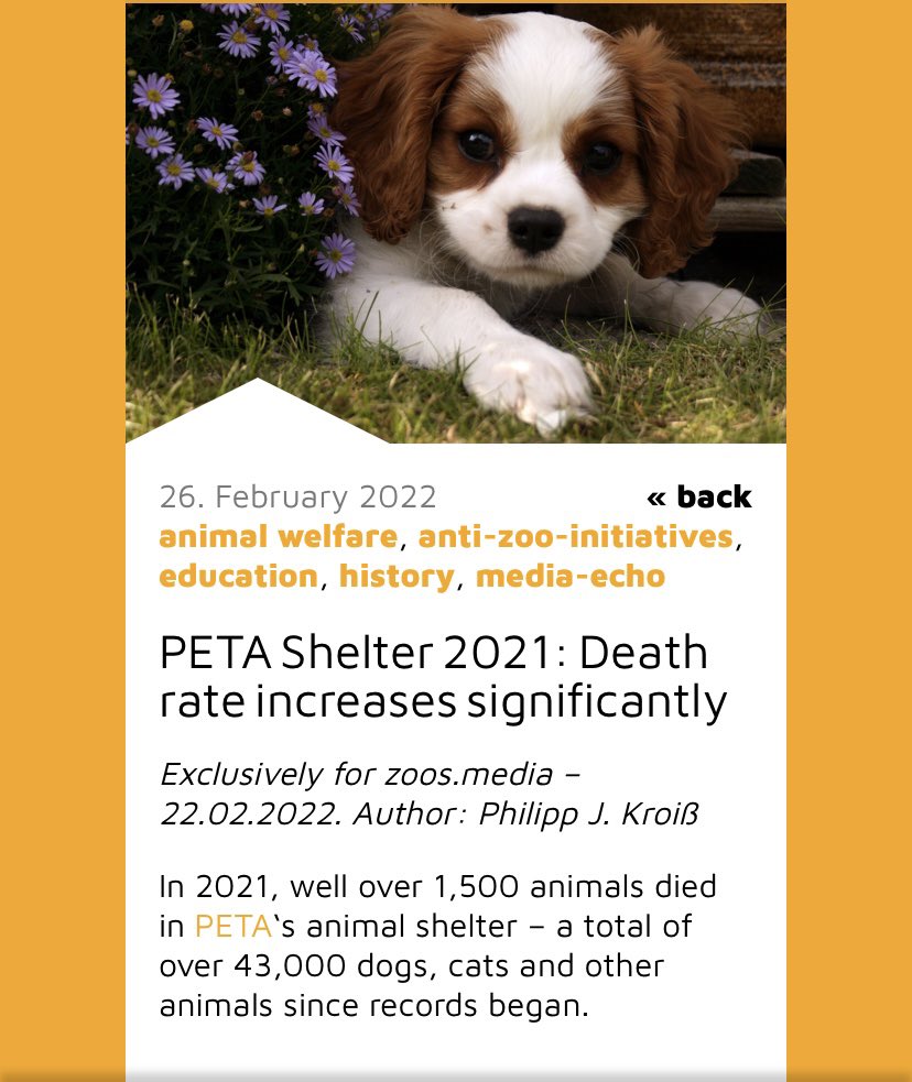 beefinex's tweet photo. @peta https://t.co/XhZ9SIfWEy