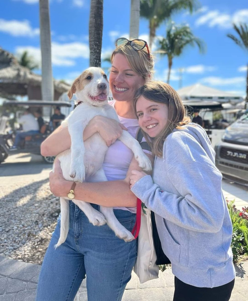 DannyRonsRescue's tweet photo. Look at those happy faces!!!
Adopted! 🎉  Another Baileigh's Brood puppy found a forever home!  DIESEL is now part of the Rosario Family. Thank you to Lynsey, Novel, Lilah, and Aslyn for picking this big puppy to raise and love! 

#ALifetimePromise https://t.co/wl2ze9JDJK