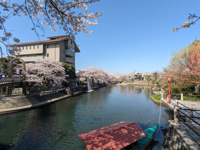 おはようございます🤗✨現場のナマコです🤗✨✨✨ 今日もいい天気☀️桜もいい咲きっぷり🤗🌸🌸🌸#大垣 #聲の形 #お花見 