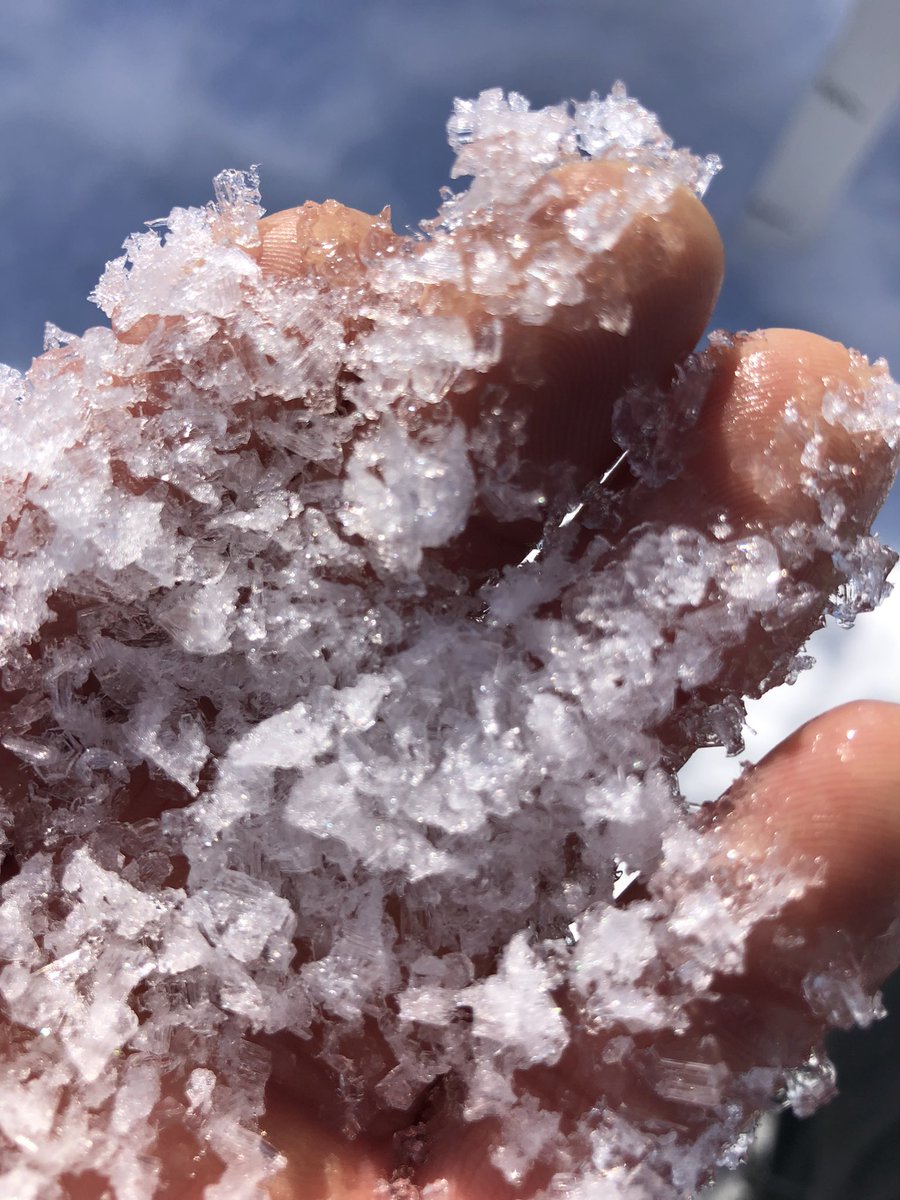 Arash Rafat tweet media