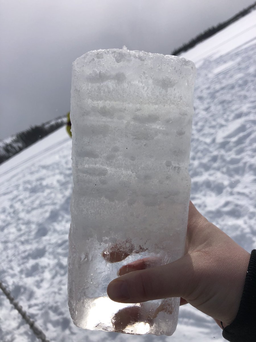 Arash Rafat tweet media