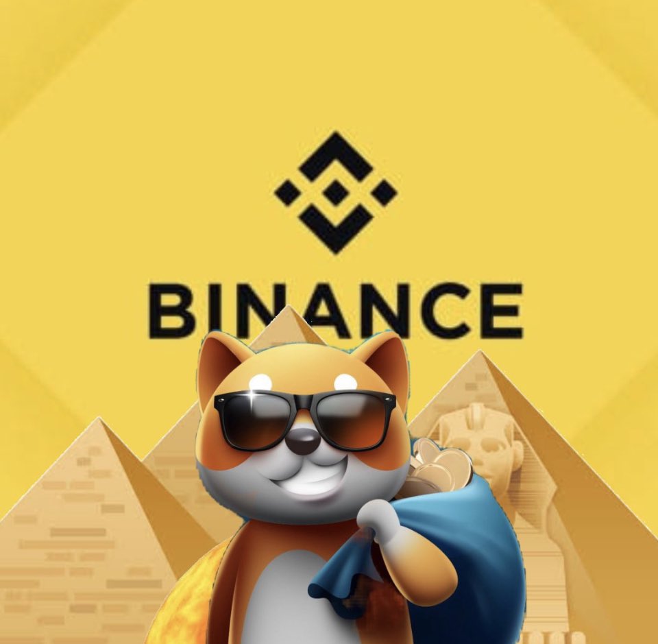 #BabyDogeArmy Hit like if you want @Binance Exchange to list #BABYDOGE 🔥