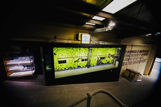CALightWorks's tweet photo. We are excited to share this interesting installation! With four SS550 units in place, this brewery in Australia is now able to provide their customers with fresh, flavorful lettuce that's grown right on the premises. And we're thrilled to hear that customers are loving it! https://t.co/lYkO954tWl