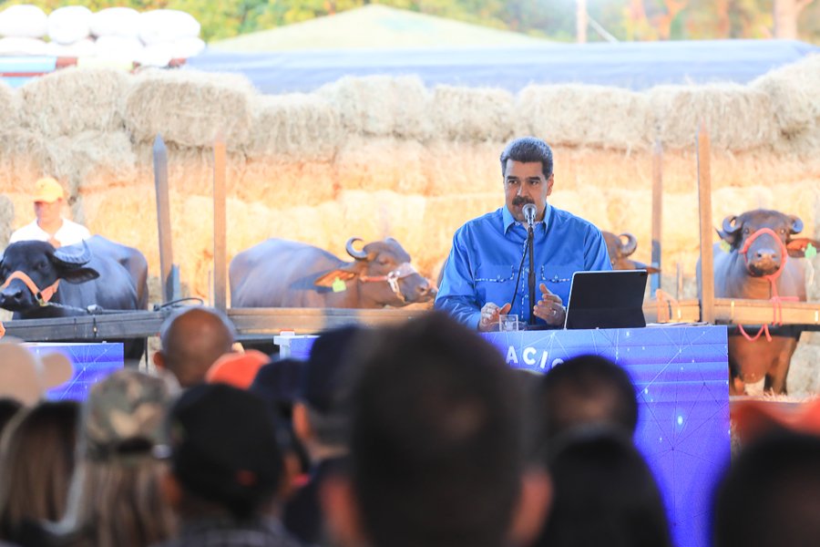 ViceVenezuela's tweet photo. #EnFotos || El presidente de la República, @NicolasMaduro, inauguró este miércoles la II Feria Nacional Criabúfalos Venezuela 2023, en el Parque Simón Bolívar, ubicado en La Carlota, estado Miranda.

#29Mar https://t.co/Pyi4xwemRt