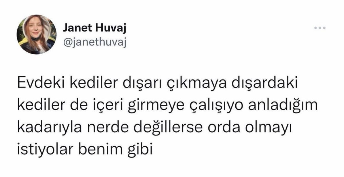 Alnı Öpülesi Tivitler (@alniopulesitivt) on Twitter photo 